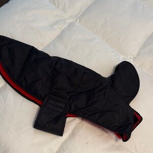 Dog Black Jacket with Red Fleece lining and collar.
